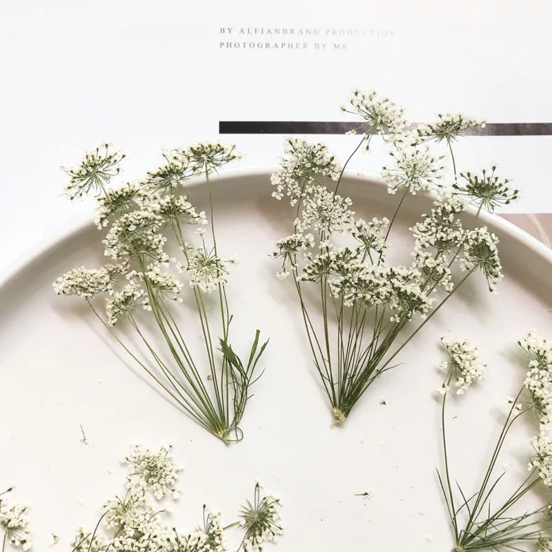 Baby Nursery Mobile - 5-7cm/12pcs,Snow Tiny Flowers with Branch,dried Flowers