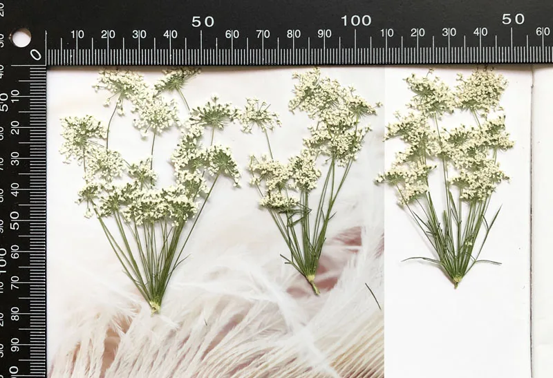 5-7cm/12pcs,Snow Tiny Flowers  - Baby Nursery Mobile ulasan dan harga